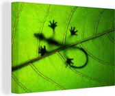 Canvas Schilderij Gekko op groen blad - 60x40 cm - Wanddecoratie