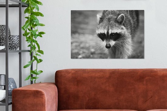 Raton laveur à la chasse sur toile 2cm 90x60 cm - Tirage photo sur toile (Décoration murale salon / chambre) / Peintures sur toile animaux sauvages