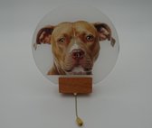 Wandlamp moon stafford dog - moonlamp - wandlamp hond - muurlamp hond - ronde wandlamp - dierenlamp