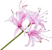 Silk-ka Kunstbloem-Zijden Bloem-Nerine Tak Zijde Roze 90 cm  Voordeelaanbod per 2 stuks