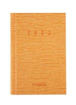 Brepols Agenda 2022 - Optivision Small NL - Optimaal leesbaar - 8,1 x 12 cm - Oranje