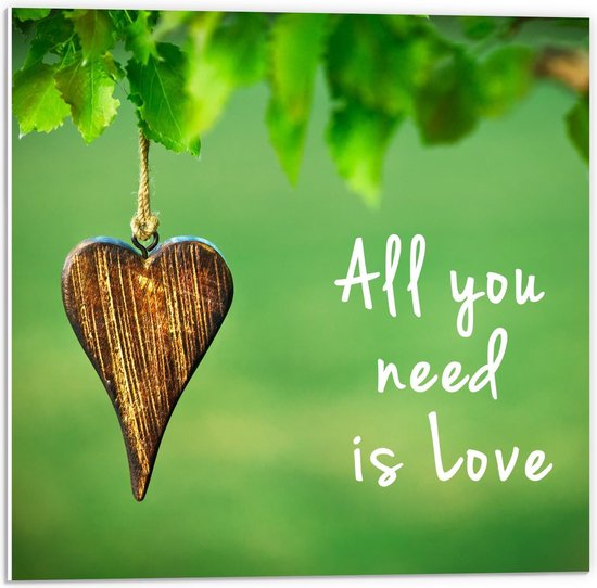 Forex - Hartje ''All You Need Is Love''  - 50x50cm Foto op Forex