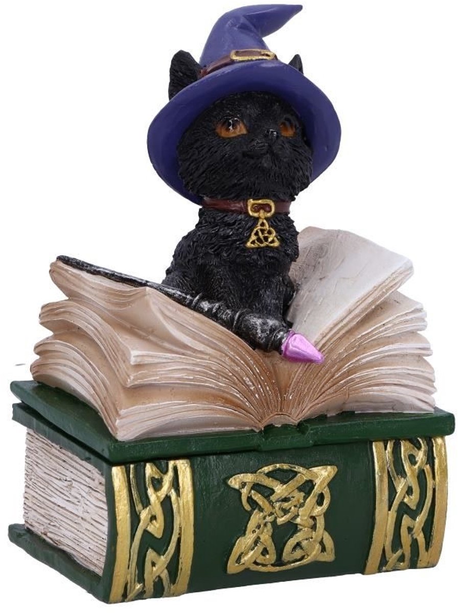 Nemesis Now - Binx Kleine Heksen Vertrouweling Zwarte Kat en Spreukenboek Doos Verzamelbaar Figuur 11cm