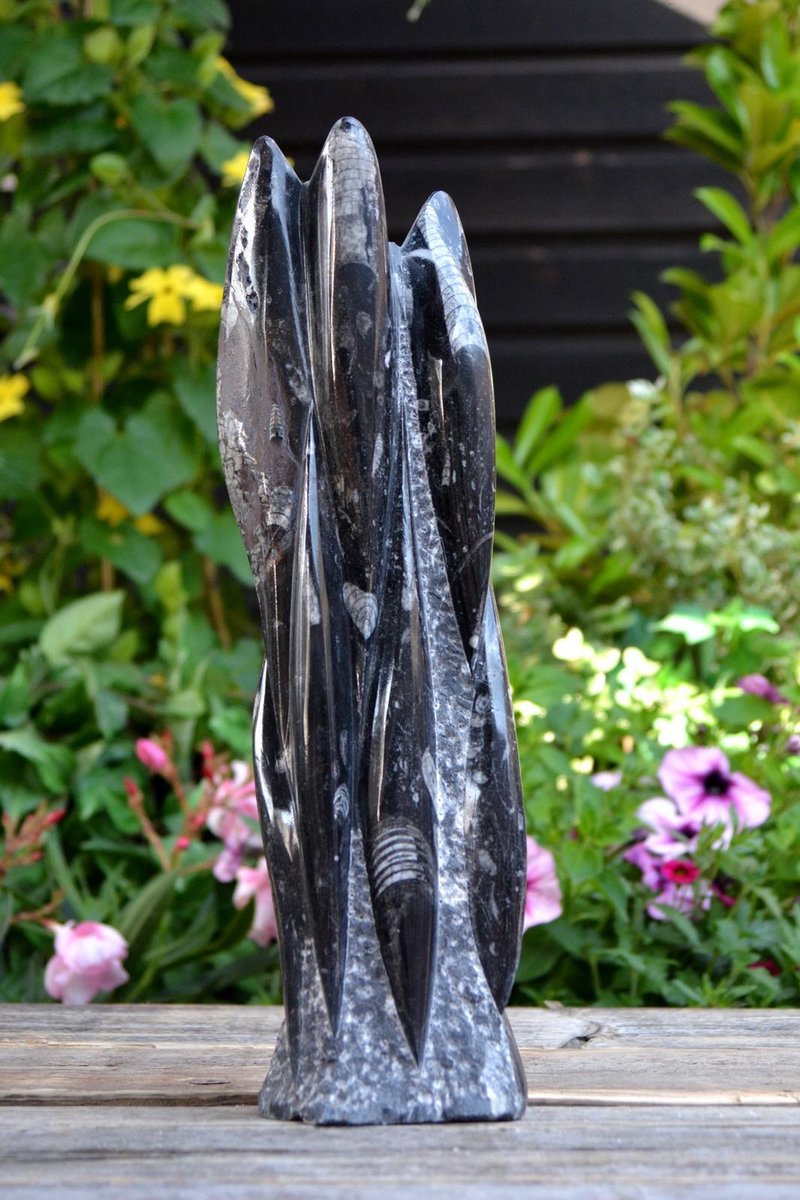 Orthoceras fossiel sculptuur - 2488 gram