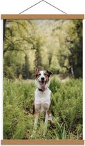 Schoolplaat – Blije Hond in de Bossen - 40x60cm Foto op Textielposter (Wanddecoratie op Schoolplaat)