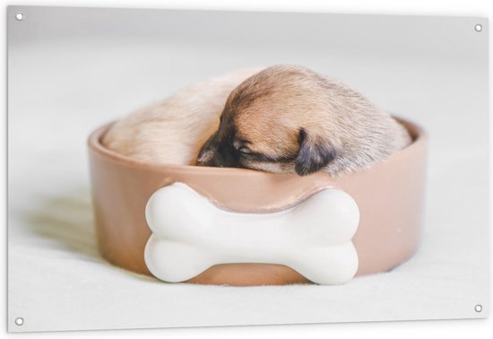 Tuinposter – Bruine Pup slapend in Voerbak - 120x80cm Foto op Tuinposter  (wanddecoratie voor buiten en binnen)