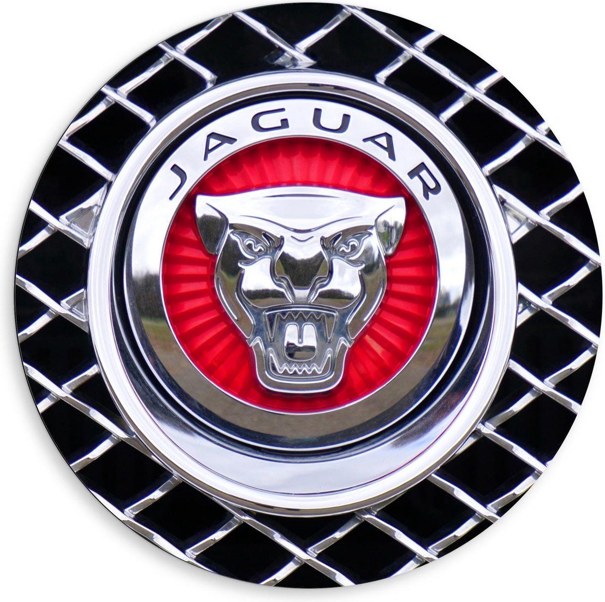 bol.com | Dibond Wandcirkel - Jaguar Logo - 80x80cm Foto op Aluminium
