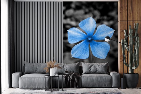 Papier peint - Papiers Papier peint photo Fleurs - Blauw - Zwart - Wit - Largeur 225 cm x hauteur 350 cm