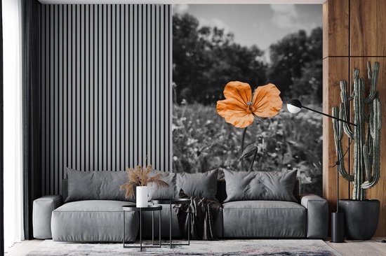 Papier peint - Papiers Papier peint photo Fleurs - Zwart - Wit - Oranje - Largeur 225 cm x Hauteur 350 cm