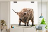 Behang jongenskamer - Fotobehang Schotse Hooglander - Dieren - Hout - Jongens - Kinderen - Kids - Breedte 220 cm x hoogte 220 cm - Kinderbehang