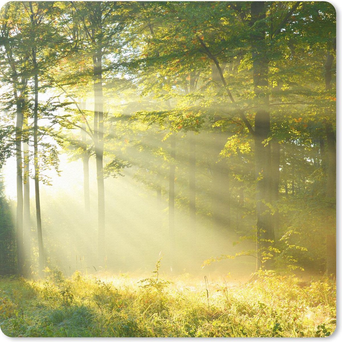 Muismat 20x20 cm - Mousepad Bos - Licht - Lente - Muismatten