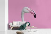 Papier peint photo peint vinyle - Portrait flamant rose largeur 330 cm x hauteur 220 cm - Tirage photo sur papier peint (disponible en 7 tailles)