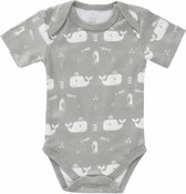 Fresk romper korte mouw Whale dawn grey