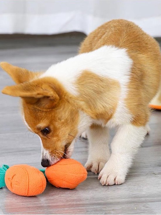 Honden en Katten Snuffelmat- training - Intelligentie Speelgoed voor Hond  en Kat -... | bol.com