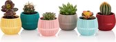 6st Bloempotjes cactuspotjes in verschillende kleuren 0.13L gehaakt motief