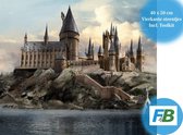 F4B Hogwarts Diamond Painting 40x50cm | Vierkante Steentjes | Harry Potter | Disney | Pakket Volwassenen en Kinderen
