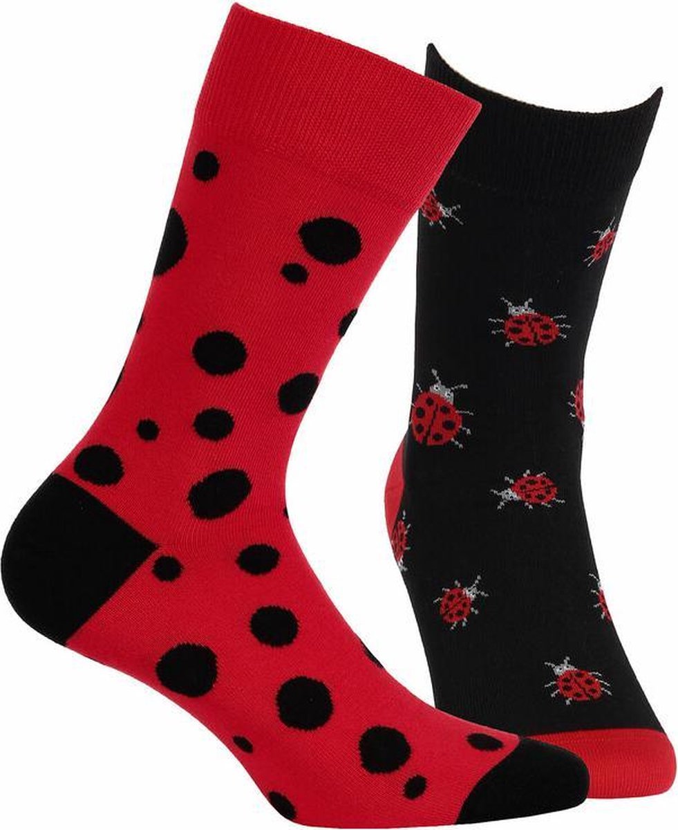 2 pack Gatta-Wola katoenen sokken Funky, 2 verschillende patronen, maat 43-46, Lieveheersbeestje patroon