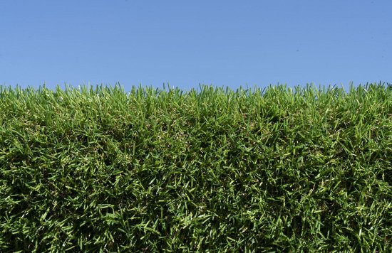 GSB Kunstgras Premium Soft (4 meter breed) | A&P Smulders