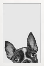 JUNIQE - Poster met houten lijst French Bulldog II -13x18 /Grijs &