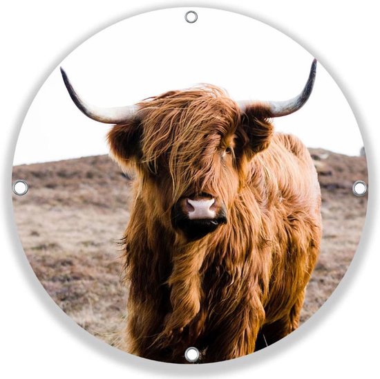 Ronde Tuinposter Highland Cow On Islay