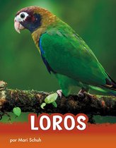 Animals en espanol - Loros