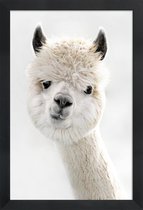 JUNIQE - Poster in houten lijst Alpaca met scheve kop -40x60 /Wit