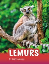 Animals - Lemurs
