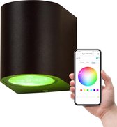 Ynoa Smart Zigbee 3.0 LED GU10 5W RGBW - Wandlamp - Buiten - Ovaal - Zwart
