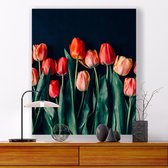 Aluminium Schilderij Red Tulips