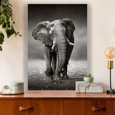 Aluminium Schilderij Afrikaanse Olifant