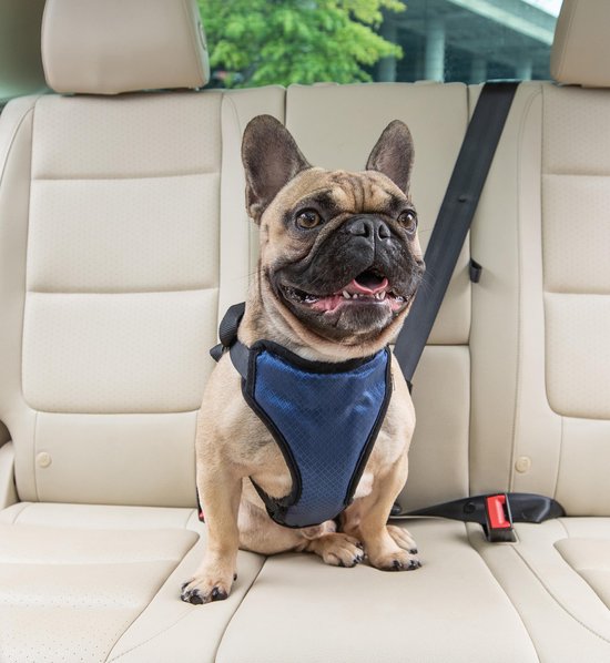 Solvit Harnais Chien Auto Deluxe Safety 61 Cm Polyester Zwart