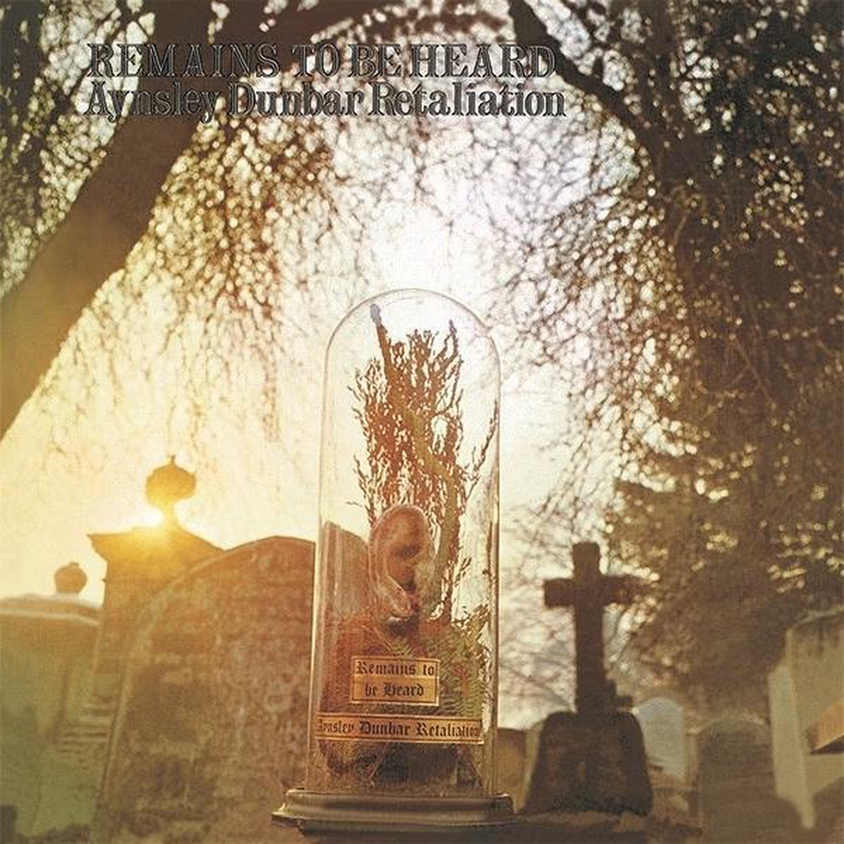 Aynsley -Retaliation- Dunbar - Remains To Be Heard (CD)