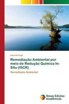 Remediação Ambiental por meio de Redução Química In-Situ (ISCR)