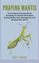 Praying Mantis