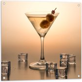 Tuinposter – Cocktail Drankje - 80x80cm Foto op Tuinposter  (wanddecoratie voor buiten en binnen)