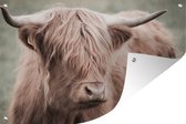 Tuindecoratie Schotse hooglander - Dieren - Portret - 60x40 cm - Tuinposter - Tuindoek - Buitenposter