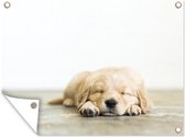 Tuinschilderij Slapende puppy op een houten vloer - 80x60 cm - Tuinposter - Tuindoek - Buitenposter