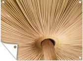 Tuinschilderij Sporen van een paddenstoel - 80x60 cm - Tuinposter - Tuindoek - Buitenposter