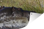 Muurdecoratie Nijlpaard - Water - Gras - 180x120 cm - Tuinposter - Tuindoek - Buitenposter