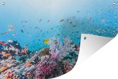 Muurdecoratie Kleurrijk rif en koraal - 180x120 cm - Tuinposter - Tuindoek - Buitenposter