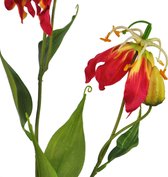 Fabulous Flowers - 3,0 sts zijden gloriosa hot fuchsia/yellow 80 cm - Kunstgloriosa