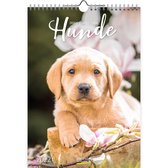 Hunde 2022