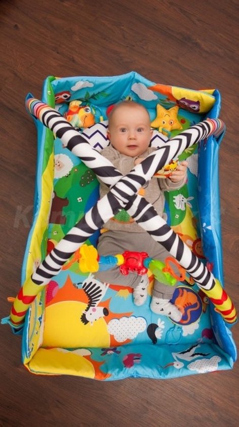 Lionelo Anika Plus 2-in-1 Babygym & Speelkleed – Met Verhoogde Randen (Boxfunctie) – Inclusief Tummy Time Kussen, Interactief Boekje & 5 Speeltjes – 115x110 cm