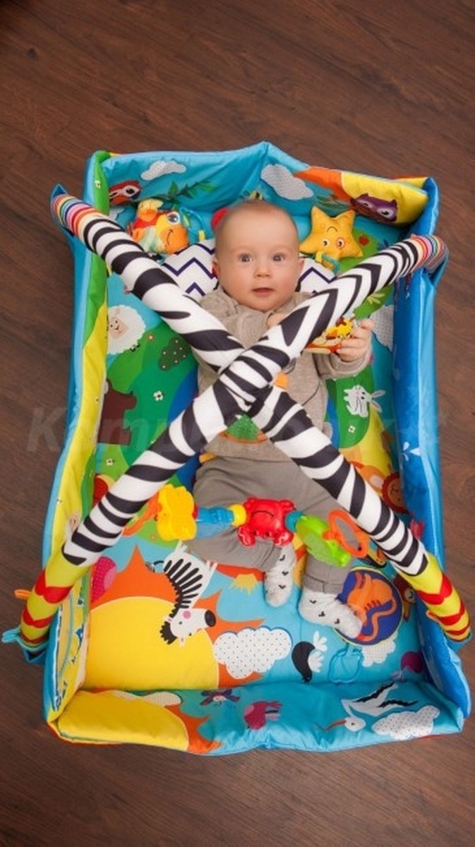 Lionelo Anika Plus 2-in-1 Babygym & Speelkleed – Met Verhoogde Randen (Boxfunctie) – Inclusief Tummy Time Kussen, Interactief Boekje & 5 Speeltjes – 115x110 cm — afbeelding 20