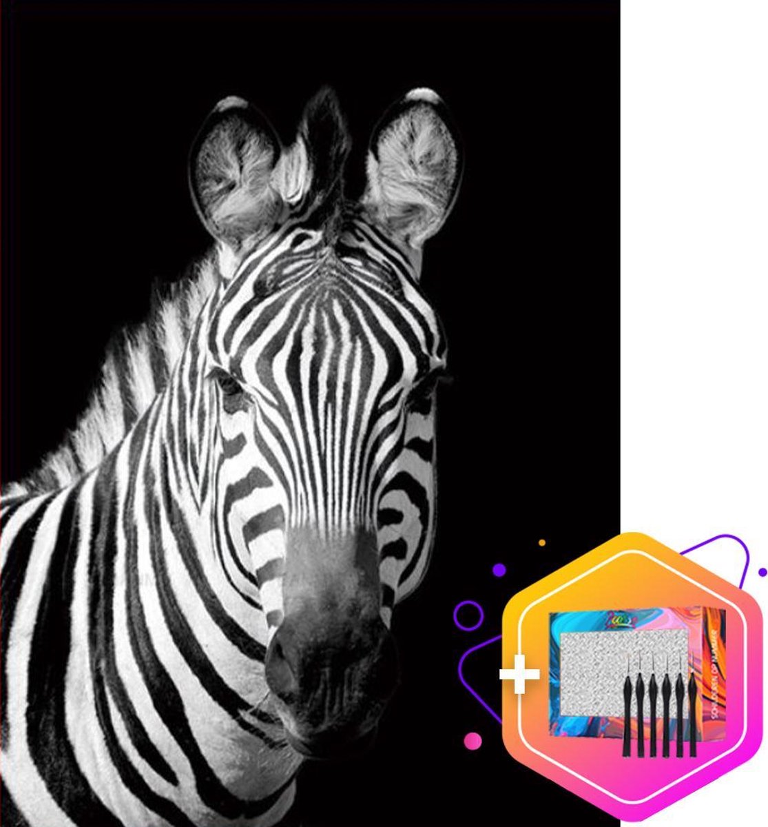 Pcasso ® Zebra Zwart/Wit - Schilderen Op Nummer - Incl. 6 Ergonomische Penselen En Geschenkverpakking - Schilderen Op Nummer Dieren - Schilderen Op Nummer Volwassenen - Canvas Schilderdoek - Kleuren Op Nummer - Paint By Number - 40x50 cm