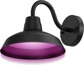 Calex Smart Outdoor - Slimme Klassieke Wandlamp - 4W - 380lm - 2700-6500K - Slimme Tuinverlichting