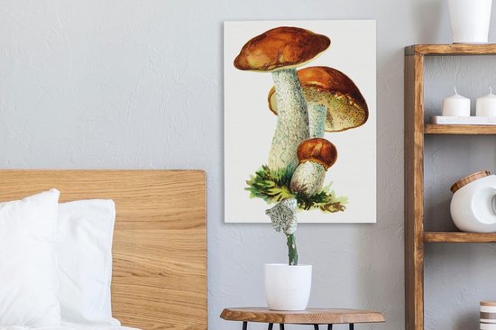 Peinture sur toile Champignons - Illustration - Rouge - Wit - 30x40 cm - Décoration murale