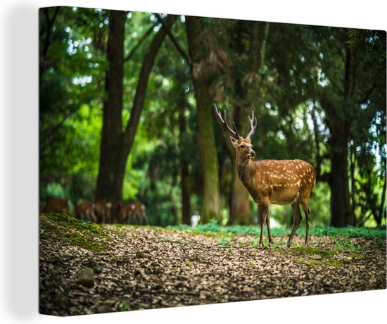 Toile Peinture Nara - Cerf - Arbres - 120x80 cm - Décoration murale