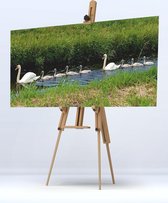 Schilderij Zwanen