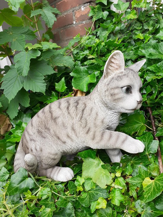 Statue de chat, chats jouant, statue de chat pour l'intérieur et  l'extérieur | bol